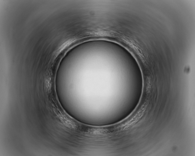 X0000100961163200807011325