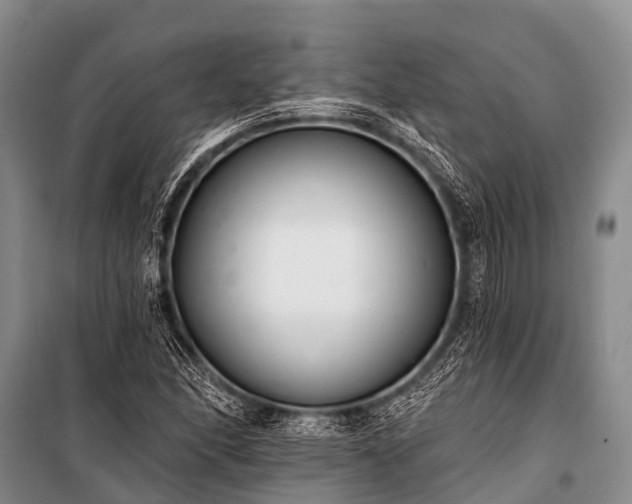 X0000100961166200807011325