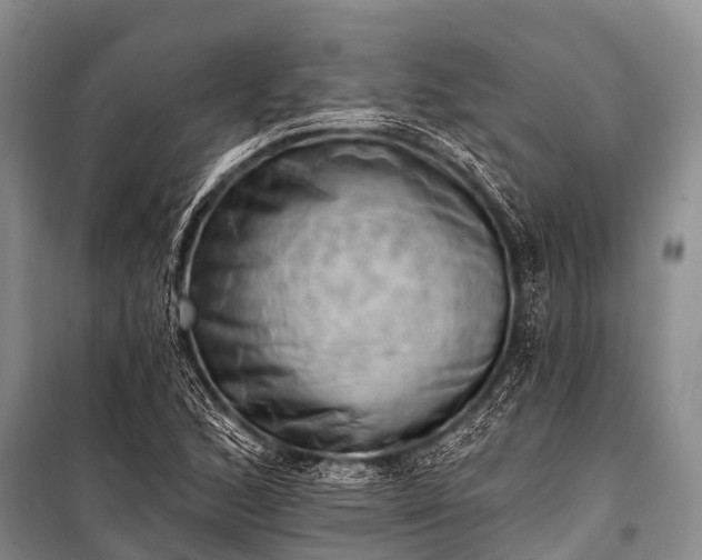X0000100961168200807011325