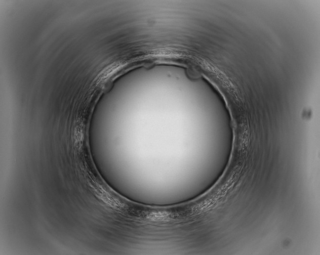 X0000100961169200807011325