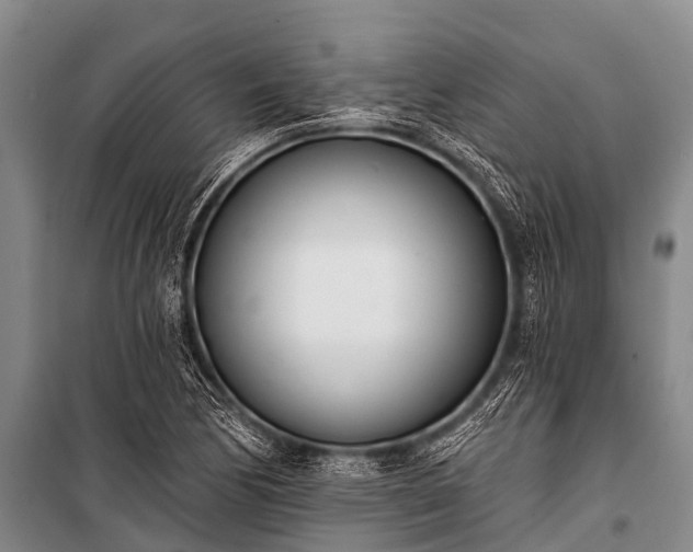 X0000100961170200807011325