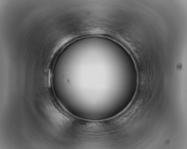 X0000100961171200807011325