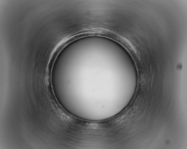 X0000100961172200807011325