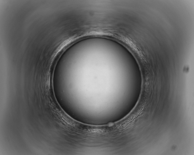 X0000100961173200807011325