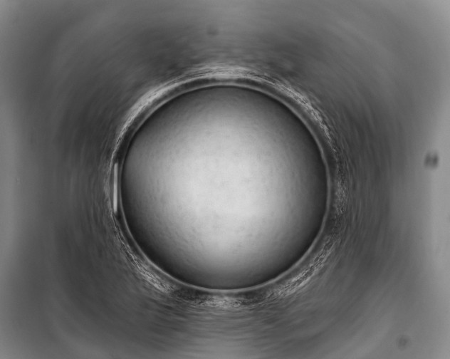 X0000100961175200807011325