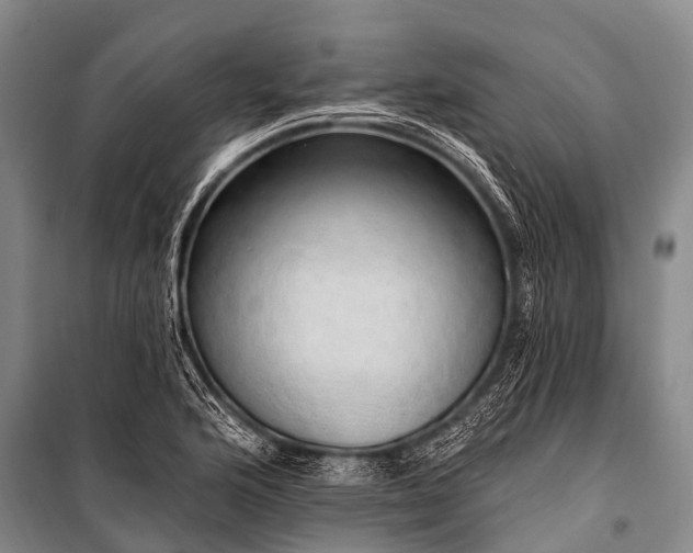 X0000100961176200807011325