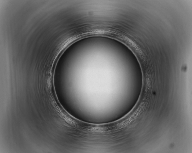 X0000100961178200807011325