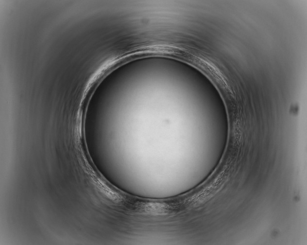 X0000100961180200807011325