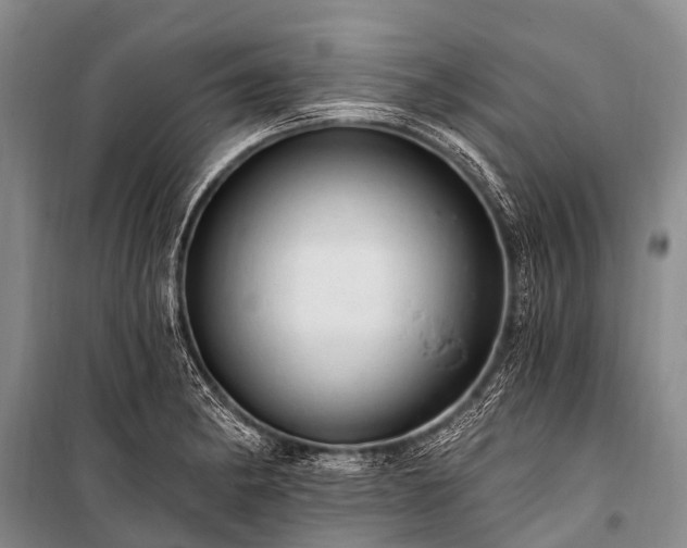 X0000100961182200807011325