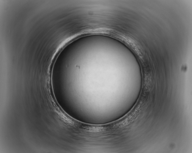 X0000100961184200807011325