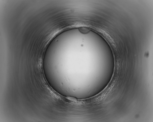 X0000100961185200807011325