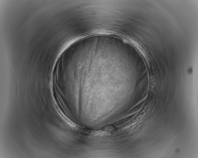 X0000100961187200807011325