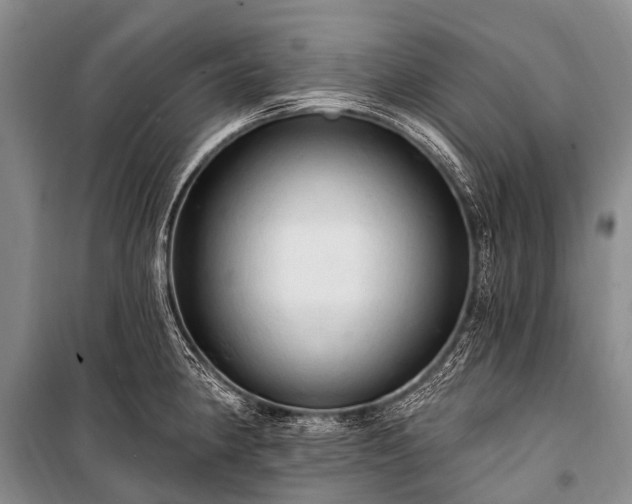 X0000100961190200807011325
