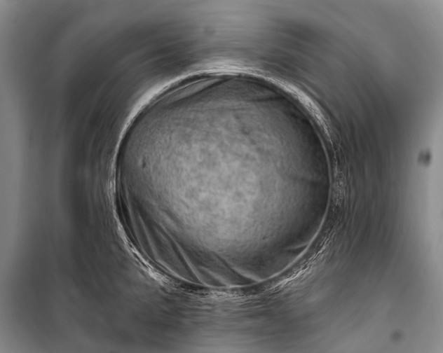 X0000100961191200807011325
