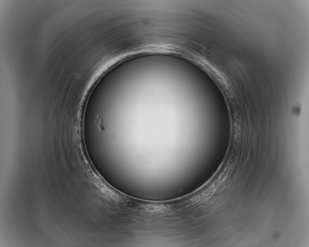 X0000100961192200807011325