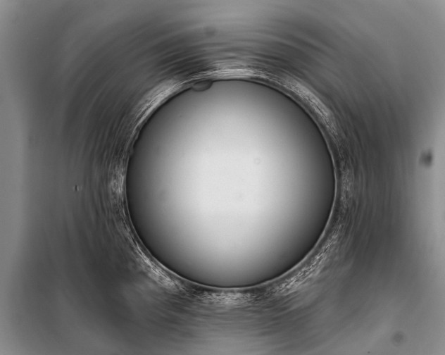 X0000100961193200807011325