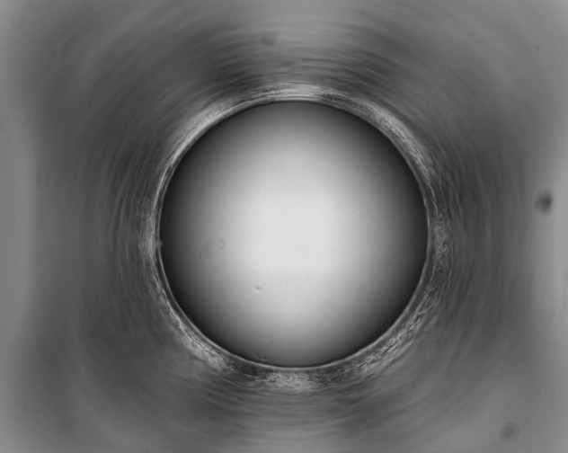 X0000100961194200807011325