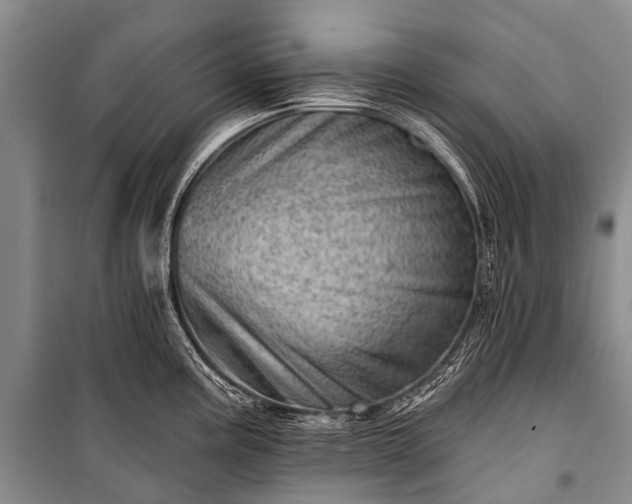 X0000100961195200807011325