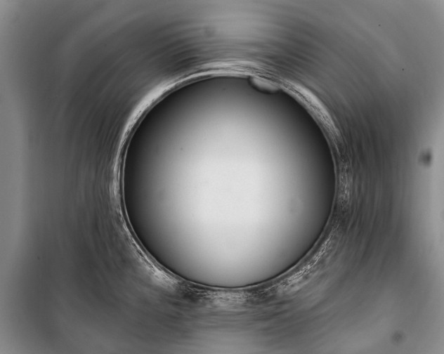 X0000100961196200807011325