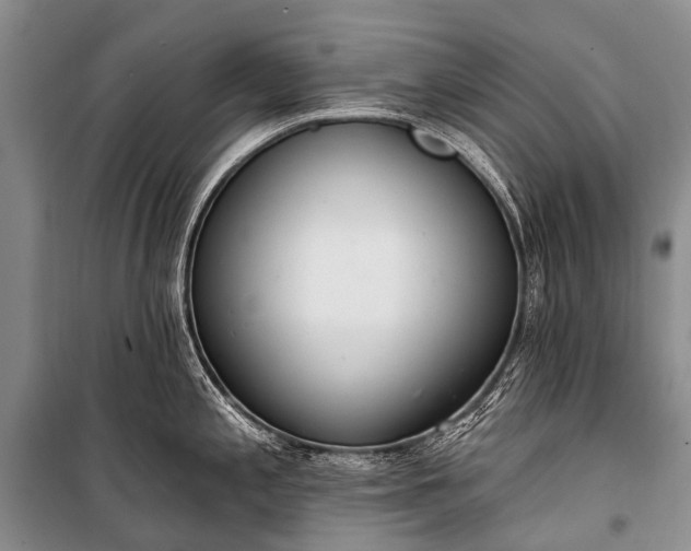 X0000100961197200807011325