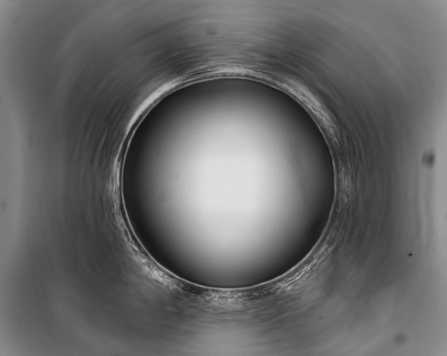 X0000100961198200807011325