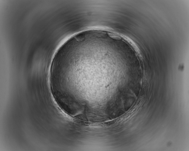 X0000100961199200807011325