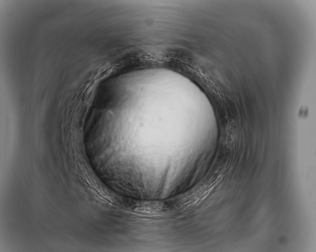 X0000100961201200807011324