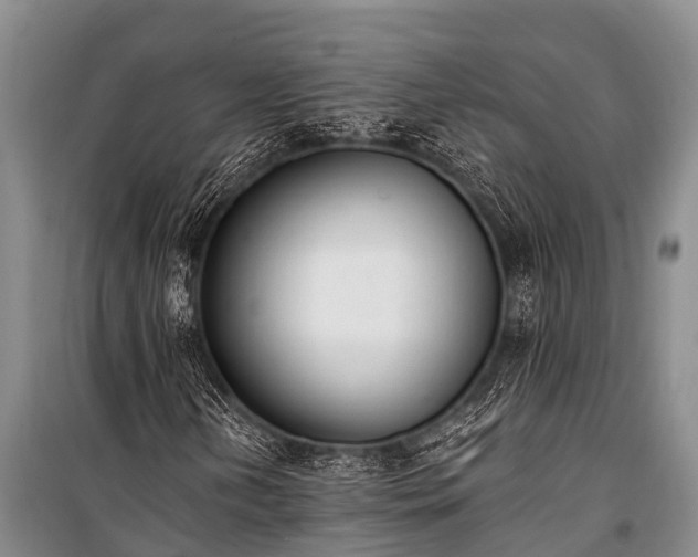 X0000100961202200807011324