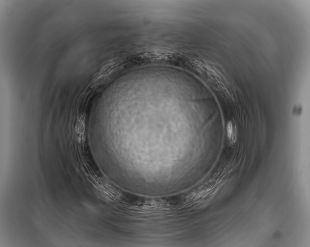 X0000100961203200807011324