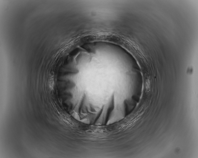 X0000100961204200807011324