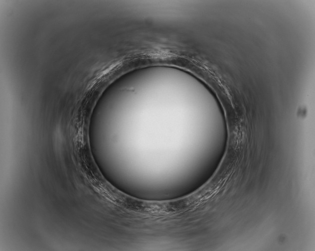 X0000100961205200807011324