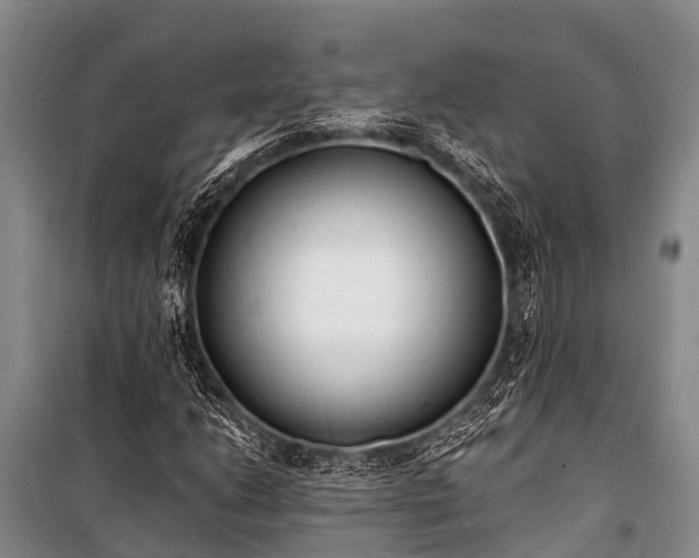 X0000100961206200807011324