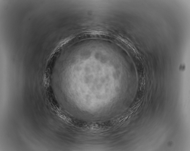 X0000100961207200807011324