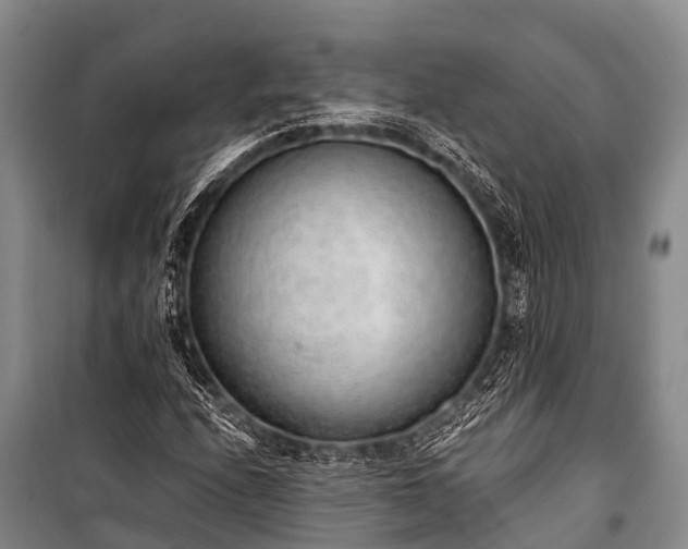 X0000100961208200807011324