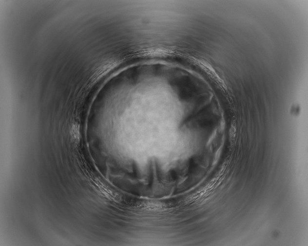 X0000100961209200807011324
