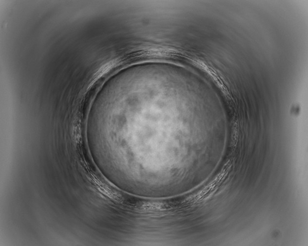 X0000100961211200807011324