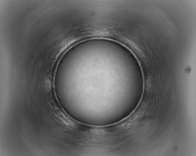 X0000100961212200807011324