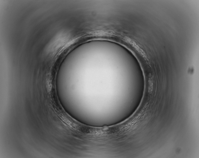 X0000100961213200807011324