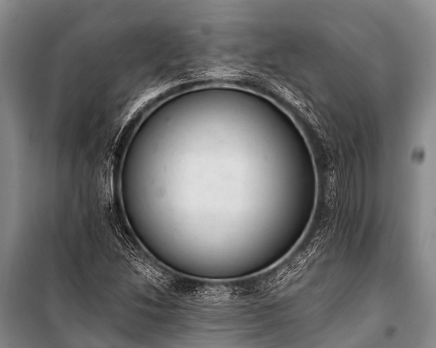 X0000100961214200807011324