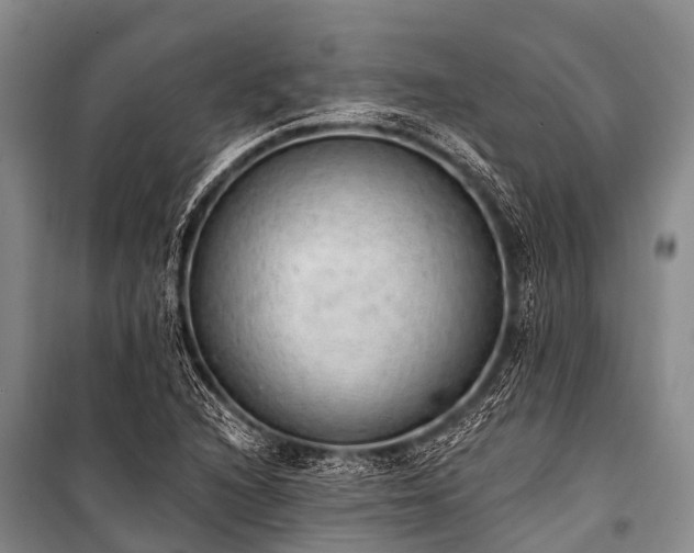 X0000100961216200807011324