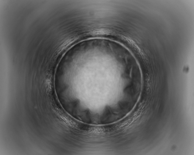 X0000100961217200807011324