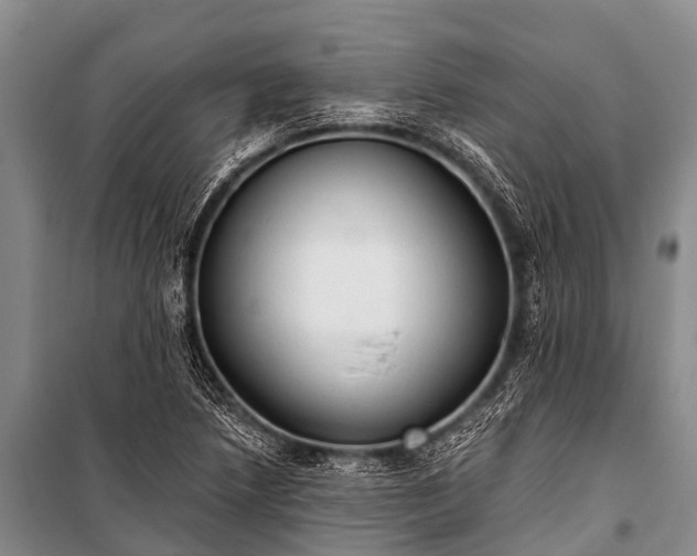 X0000100961218200807011324