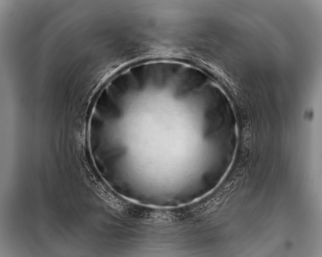 X0000100961220200807011324