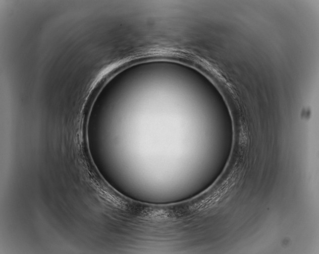 X0000100961222200807011324