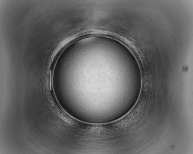 X0000100961223200807011324