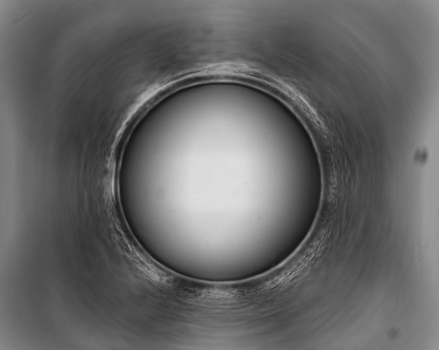 X0000100961224200807011324