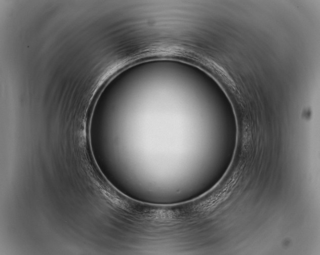 X0000100961226200807011324