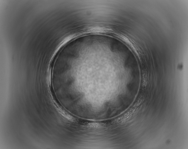 X0000100961227200807011324