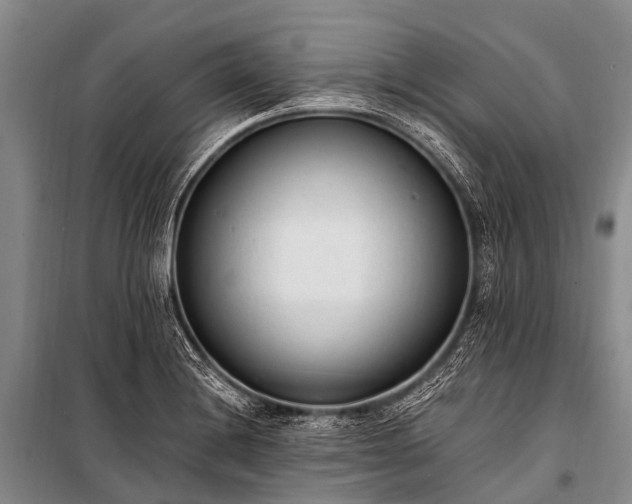 X0000100961228200807011324