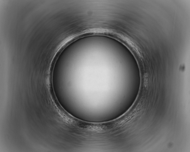 X0000100961229200807011324